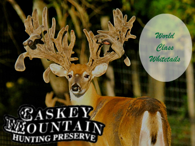 Caskey Mountain Hunting Preserve
